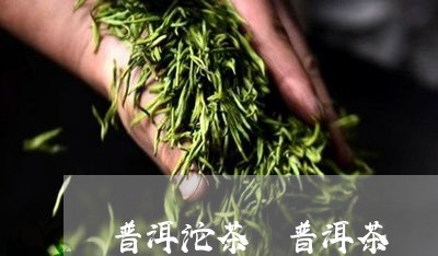 普洱沱茶 普洱茶/2023041201716